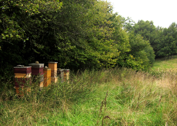 Foto: V&aelig;rksted